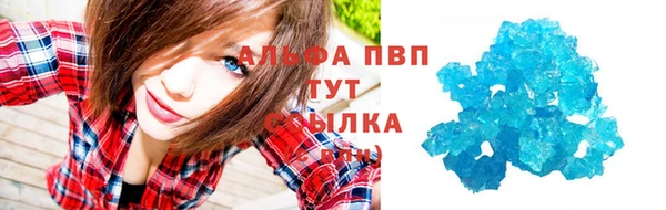 ПСИЛОЦИБИНОВЫЕ ГРИБЫ Богданович