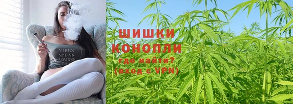 ПСИЛОЦИБИНОВЫЕ ГРИБЫ Богданович