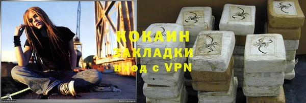 ПСИЛОЦИБИНОВЫЕ ГРИБЫ Богданович