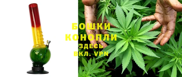 ПСИЛОЦИБИНОВЫЕ ГРИБЫ Богданович